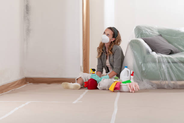 Reliable Attic Mold Removal contractor in Batavia, IL by WQB Mold Removal